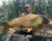 kapor chyteny cez leto-ake boilies v lete-ake boilies do teplej vody-karperis.sk
