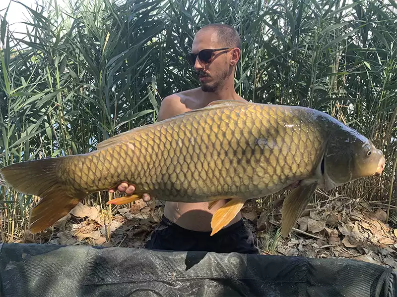 kapor chyteny cez leto-ake boilies v lete-ake boilies do teplej vody-karperis.sk
