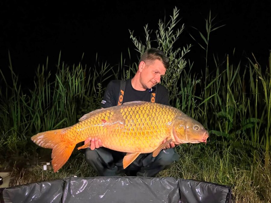 Boilies: boilies fast aka; Váha: 15