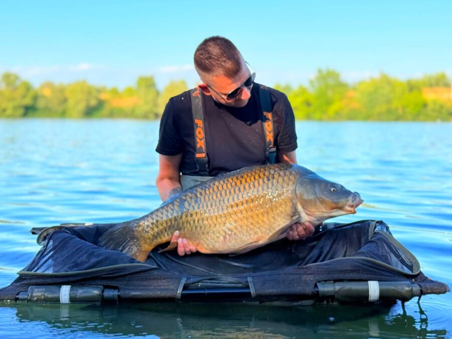 Boilies: boilies fast morusa; Váha: 15,5