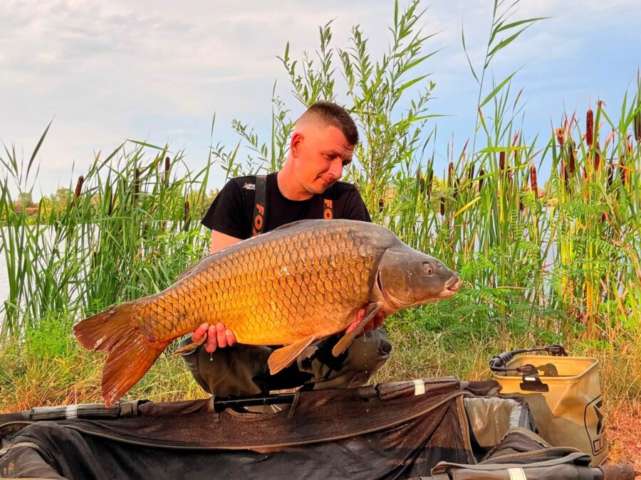 Boilies: boilies demonis; Váha: 13,3