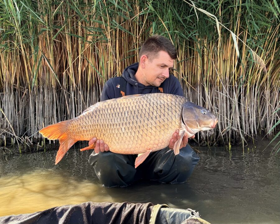 Boilies: Boilies AKA; Váha: 15