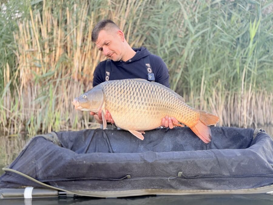 Boilies: Boilies AKA; Váha: 16